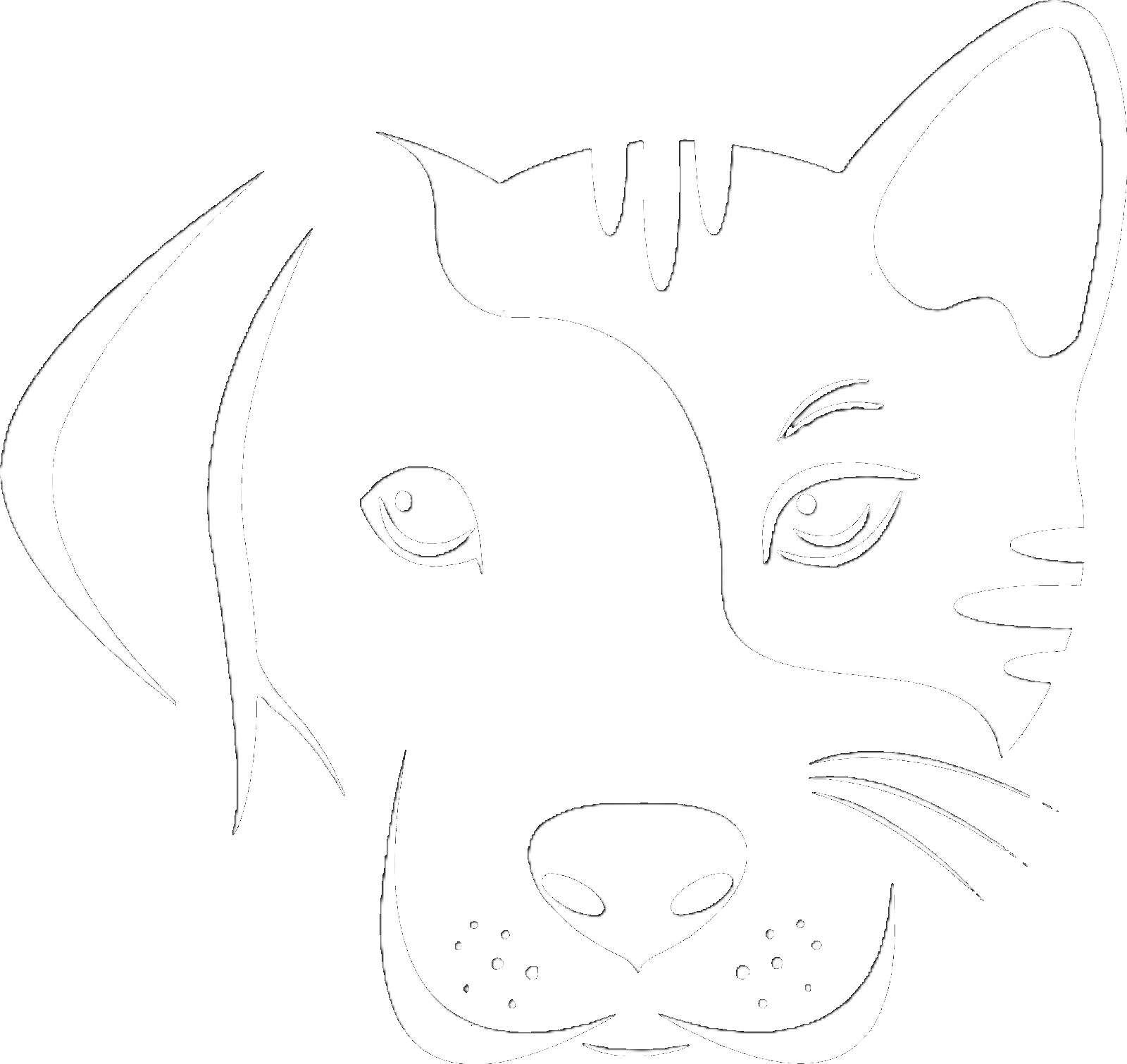 Salon Fellnasen Logo